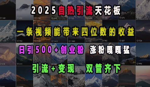 2025自热引流天花板，一条视频能带来四位数的收益，引流+变现双管齐下，日引500+创业粉，涨粉嘎嘎猛-创业猫