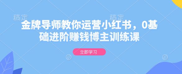 金牌导师教你运营小红书，0基础进阶赚钱博主训练课-创业猫