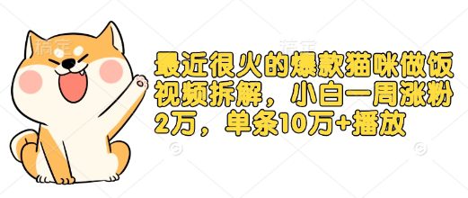 最近很火的爆款猫咪做饭视频拆解，小白一周涨粉2万，单条10万+播放(附保姆级教程)-创业猫