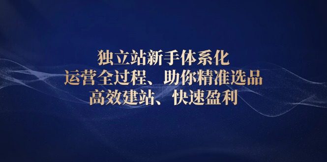 （13914期）独立站新手体系化 运营全过程，助你精准选品、高效建站、快速盈利-创业猫