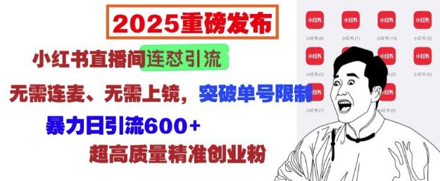 2025重磅发布：小红书直播间连怼引流，无需连麦、无需上镜，突破单号限制，暴力日引流600+-创业猫