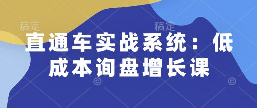 直通车实战系统：低成本询盘增长课，让个人通过技能实现升职加薪，让企业低成本获客，订单源源不断-创业猫